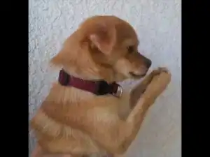 Byron Cage - He Will Answer